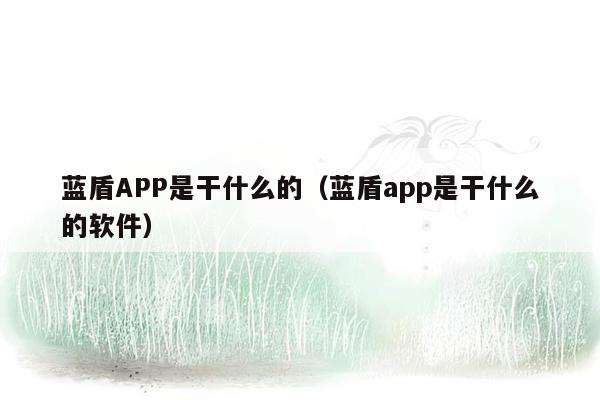 蓝盾APP是干什么的（蓝盾app是干什么的软件）