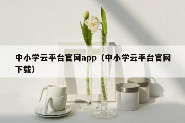 中小学云平台官网app（中小学云平台官网下载）