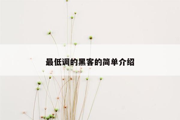 最低调的黑客的简单介绍