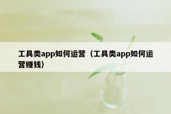 工具类app如何运营（工具类app如何运营赚钱）