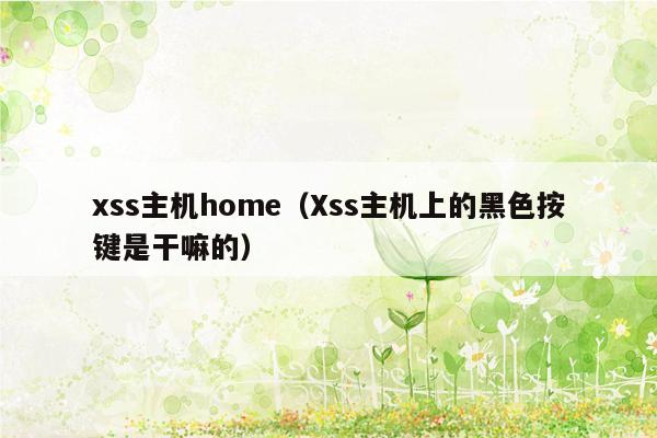 xss主机home（Xss主机上的黑色按键是干嘛的）