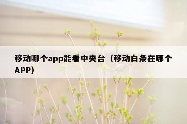 移动哪个app能看中央台（移动白条在哪个APP）