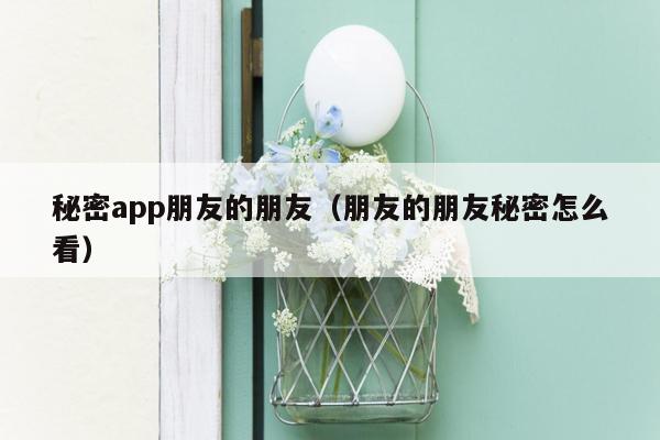 秘密app朋友的朋友（朋友的朋友秘密怎么看）