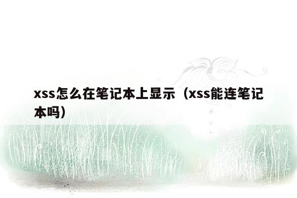 xss怎么在笔记本上显示（xss能连笔记本吗）