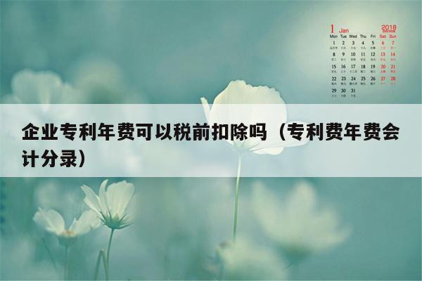 企业专利年费可以税前扣除吗（专利费年费会计分录）