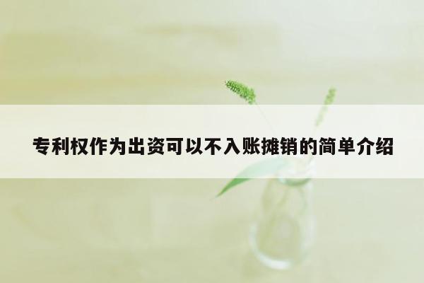 专利权作为出资可以不入账摊销的简单介绍