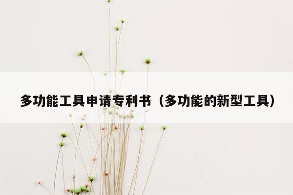 多功能工具申请专利书（多功能的新型工具）