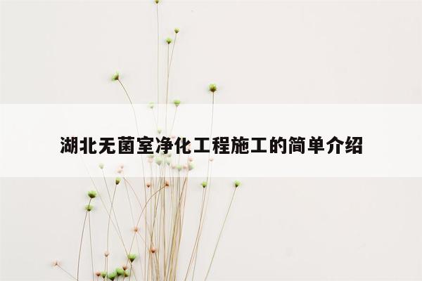 湖北无菌室净化工程施工的简单介绍