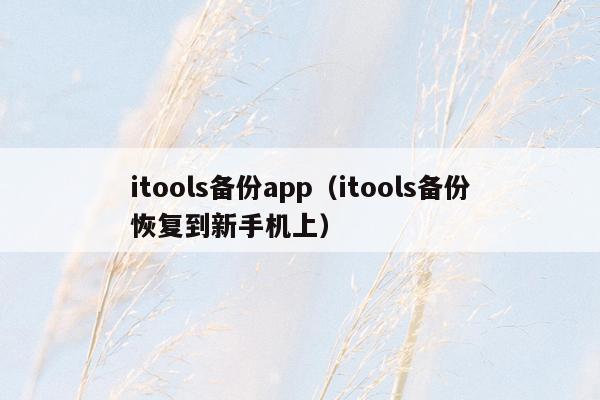 itools备份app（itools备份恢复到新手机上）