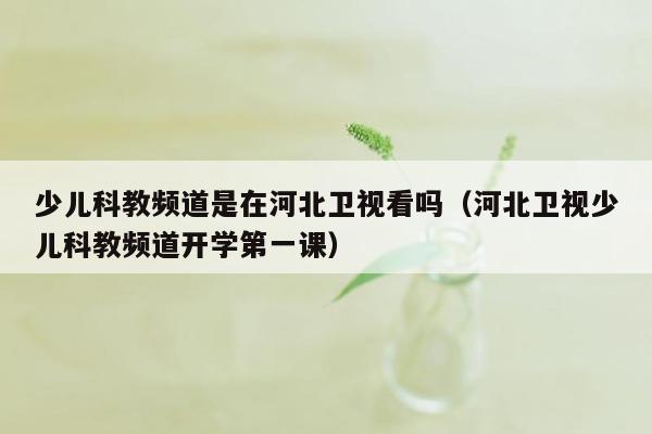 少儿科教频道是在河北卫视看吗（河北卫视少儿科教频道开学第一课）