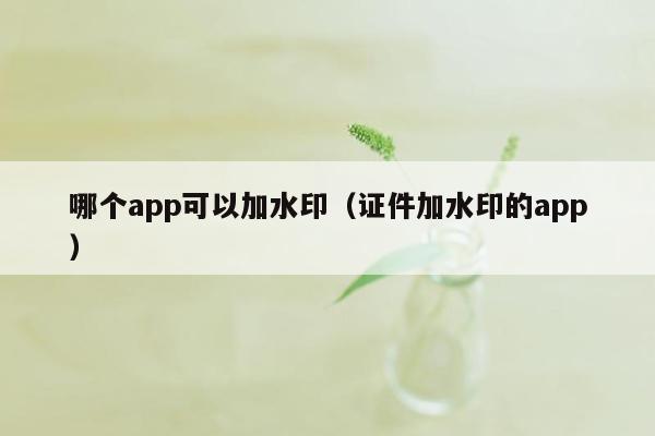 哪个app可以加水印（证件加水印的app）