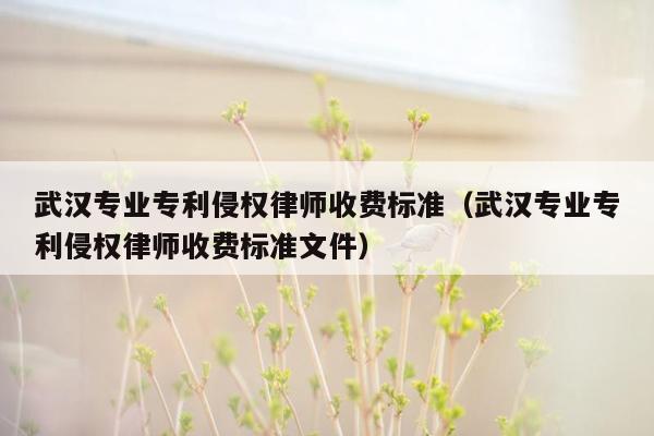 武汉专业专利侵权律师收费标准（武汉专业专利侵权律师收费标准文件）