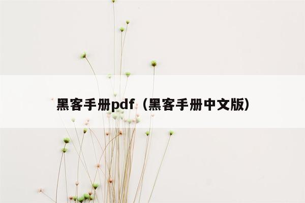 黑客手册pdf（黑客手册中文版）