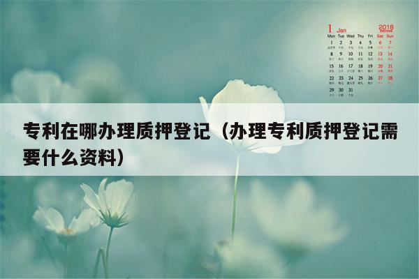 专利在哪办理质押登记（办理专利质押登记需要什么资料）