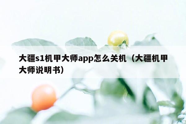 大疆s1机甲大师app怎么关机（大疆机甲大师说明书）