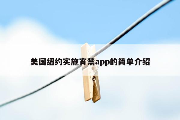 美国纽约实施宵禁app的简单介绍