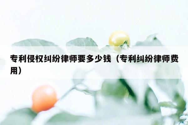 专利侵权纠纷律师要多少钱（专利纠纷律师费用）