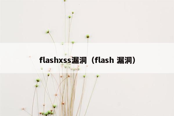 flashxss漏洞（flash 漏洞）