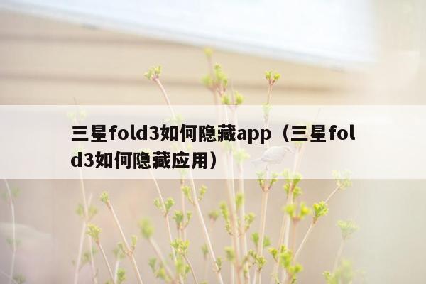 三星fold3如何隐藏app（三星fold3如何隐藏应用）