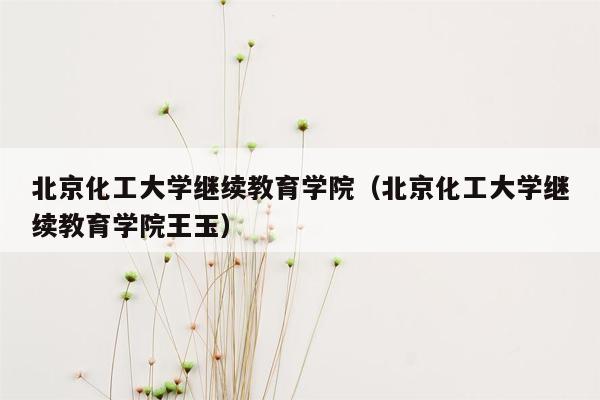 北京化工大学继续教育学院（北京化工大学继续教育学院王玉）