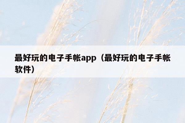 最好玩的电子手帐app（最好玩的电子手帐软件）