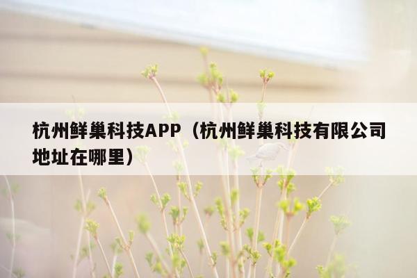 杭州鲜巢科技APP（杭州鲜巢科技有限公司地址在哪里）