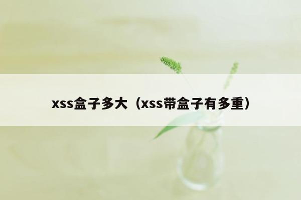 xss盒子多大（xss带盒子有多重）