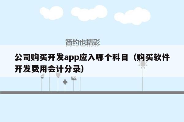 公司购买开发app应入哪个科目（购买软件开发费用会计分录）