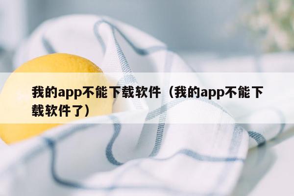 我的app不能下载软件（我的app不能下载软件了）