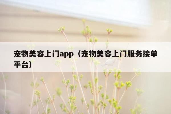 宠物美容上门app（宠物美容上门服务接单平台）