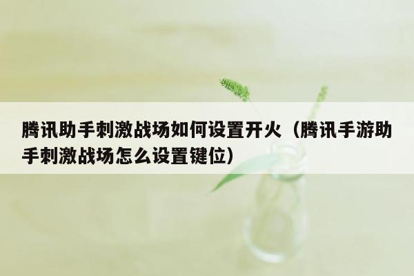 腾讯助手刺激战场如何设置开火（腾讯手游助手刺激战场怎么设置键位）