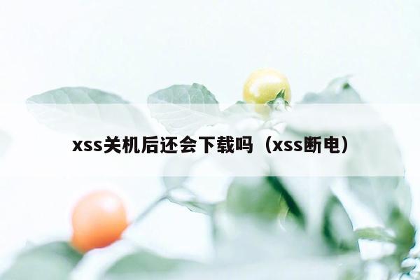 xss关机后还会下载吗（xss断电）