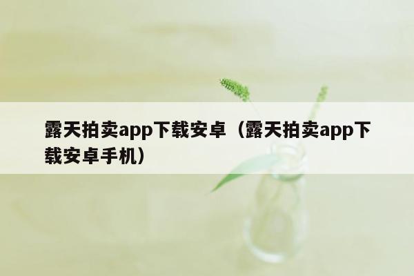 露天拍卖app下载安卓（露天拍卖app下载安卓手机）