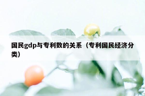 国民gdp与专利数的关系（专利国民经济分类）