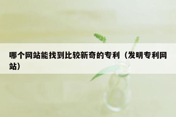 哪个网站能找到比较新奇的专利（发明专利网站）