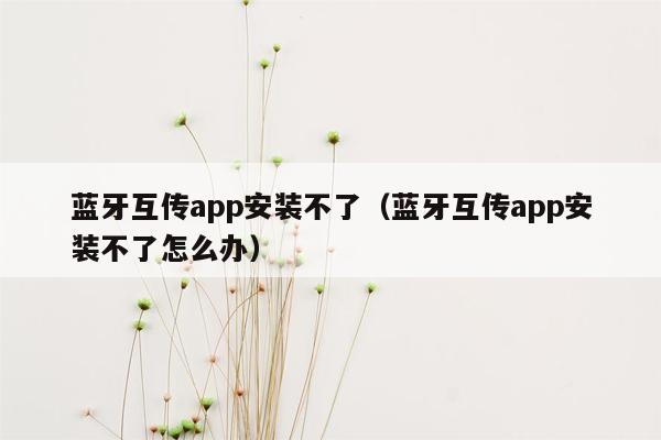 蓝牙互传app安装不了（蓝牙互传app安装不了怎么办）