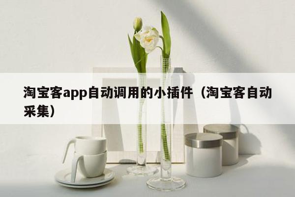 淘宝客app自动调用的小插件（淘宝客自动采集）