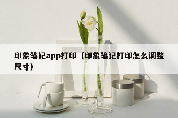 印象笔记app打印（印象笔记打印怎么调整尺寸）