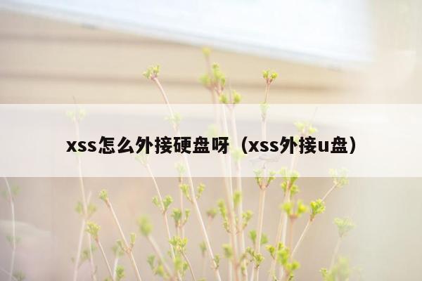 xss怎么外接硬盘呀（xss外接u盘）