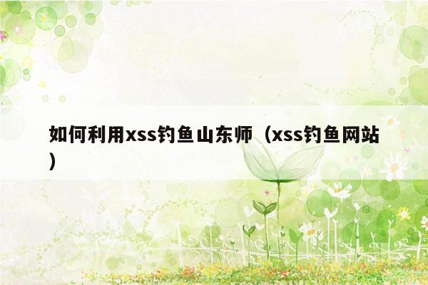 如何利用xss钓鱼山东师（xss钓鱼网站）