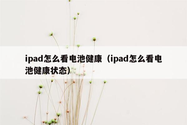 ipad怎么看电池健康（ipad怎么看电池健康状态）