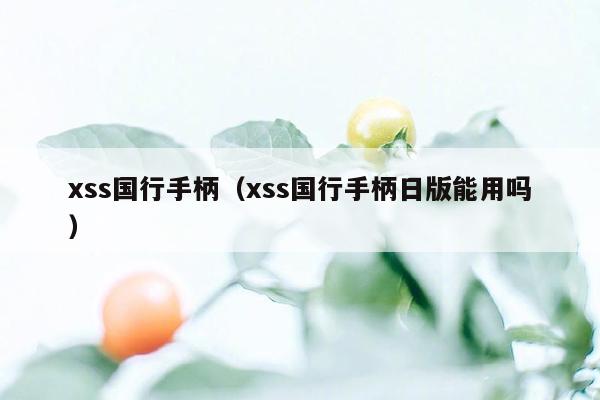 xss国行手柄（xss国行手柄日版能用吗）