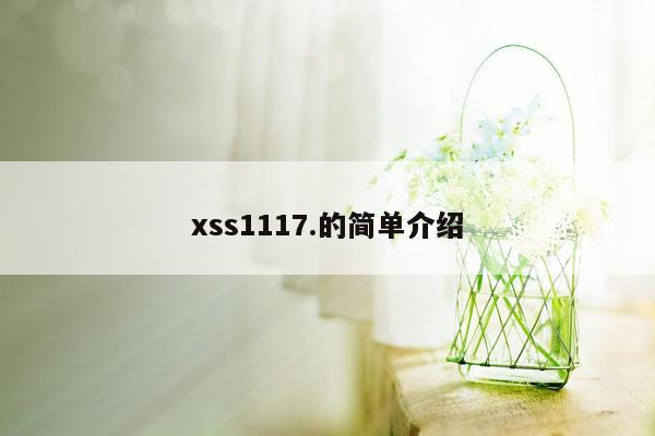 xss1117.的简单介绍