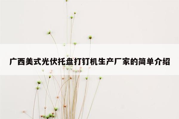 广西美式光伏托盘打钉机生产厂家的简单介绍