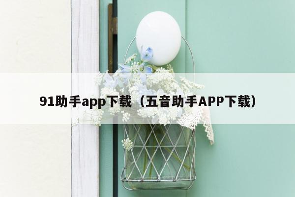 91助手app下载（五音助手APP下载）