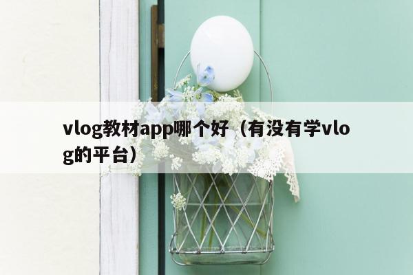 vlog教材app哪个好（有没有学vlog的平台）