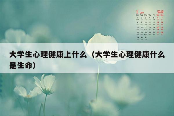 大学生心理健康上什么（大学生心理健康什么是生命）