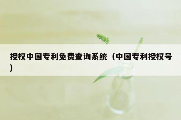 授权中国专利免费查询系统（中国专利授权号）