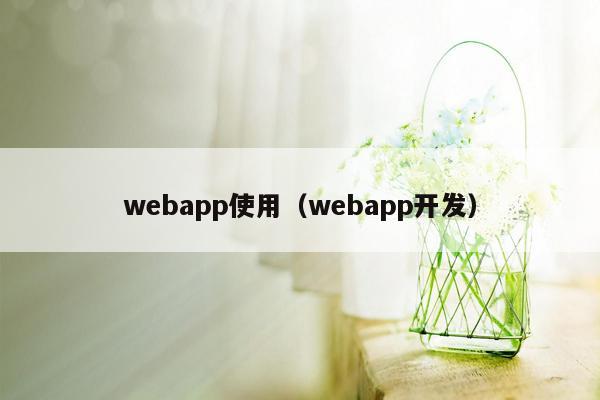 webapp使用（webapp开发）