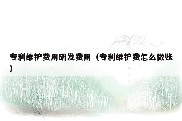 专利维护费用研发费用（专利维护费怎么做账）